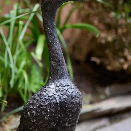 Perryville House בית הארחה 4*