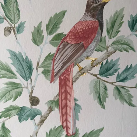 בית הארחה Perryville House קינסייל